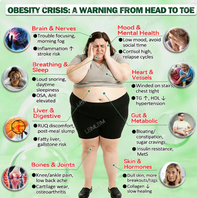 GFOUK® MORINGA BERBERINE × NAD + 10-IN-1